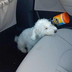 Meet your Posher, Mario